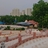 Kapil Singhal